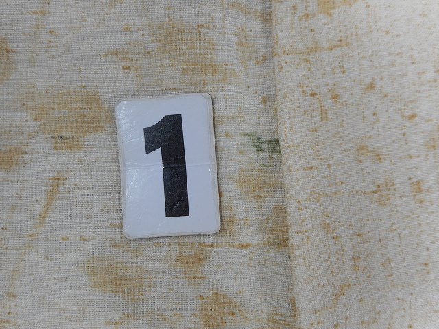 Vintage Japanese Kimono | Tsumugi | Beige Silk | Botanical Floral | Size M | Sustainable | qq2326b