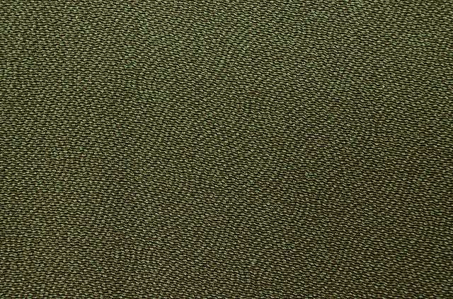 Vintage Japanese Kimono | Edo Komon Kimono | Green Silk | Standing Weight Pattern | One Crest | Artisan Signed | Sustainable | rr2193b