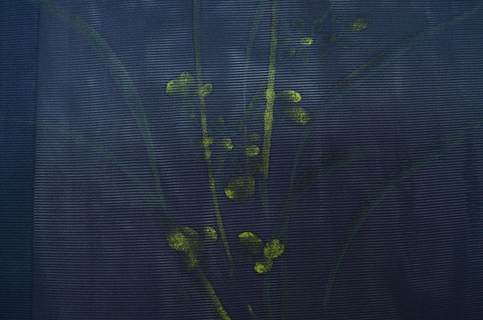 Vintage Japanese Kimono | Summer Komon | Navy Silk Ro | Botanical Pattern | Unused | Petite Size SS | Sustainable | ss0073b