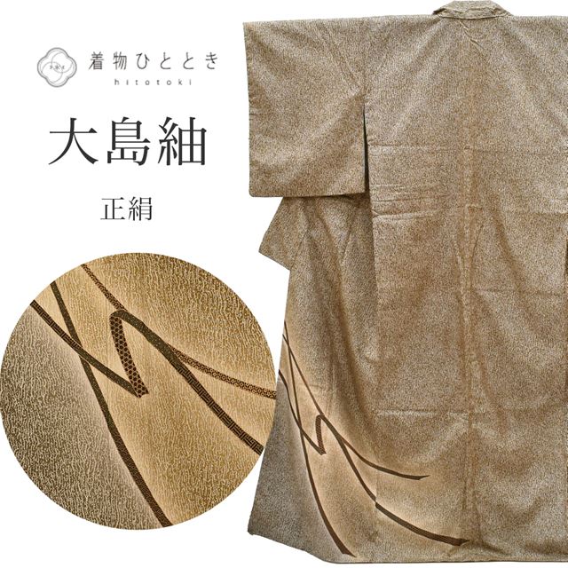 Vintage Japanese Kimono | Dyed Oshima Tsumugi | Brown Silk | Noshi Pattern | Excellent | Size M | Sustainable | ss1465b