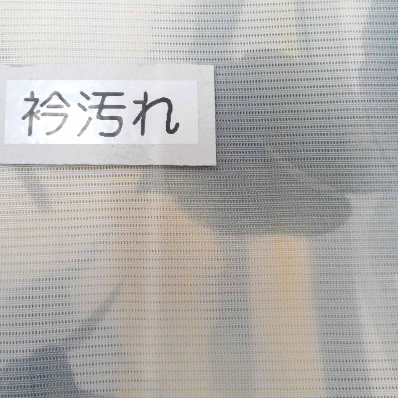 Vintage Japanese Kimono | Summer Komon | Cream Silk Ro | Iris Pattern | Size M | Sustainable | uu1102b