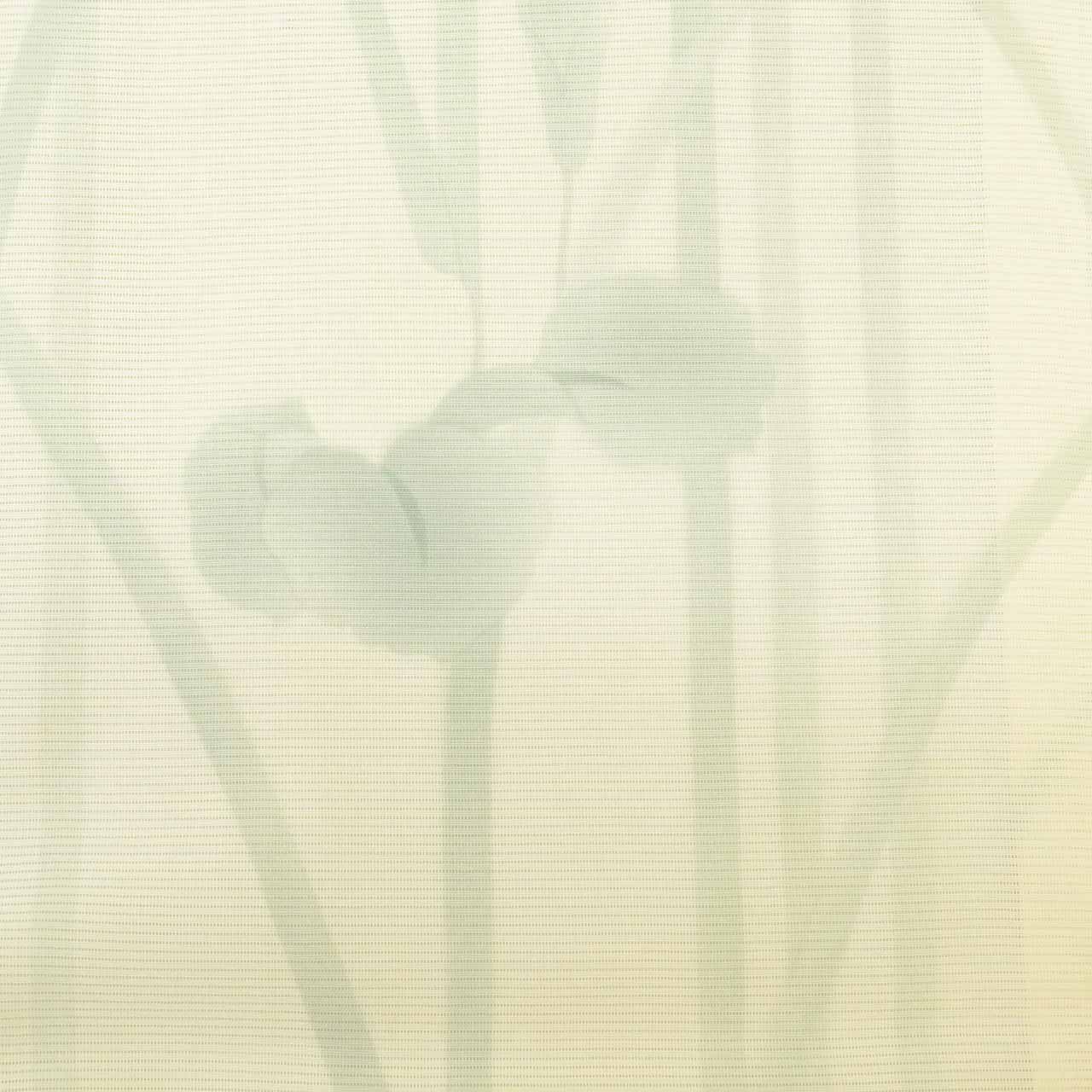 Vintage Japanese Kimono | Summer Komon | Cream Silk Ro | Iris Pattern | Size M | Sustainable | uu1102b