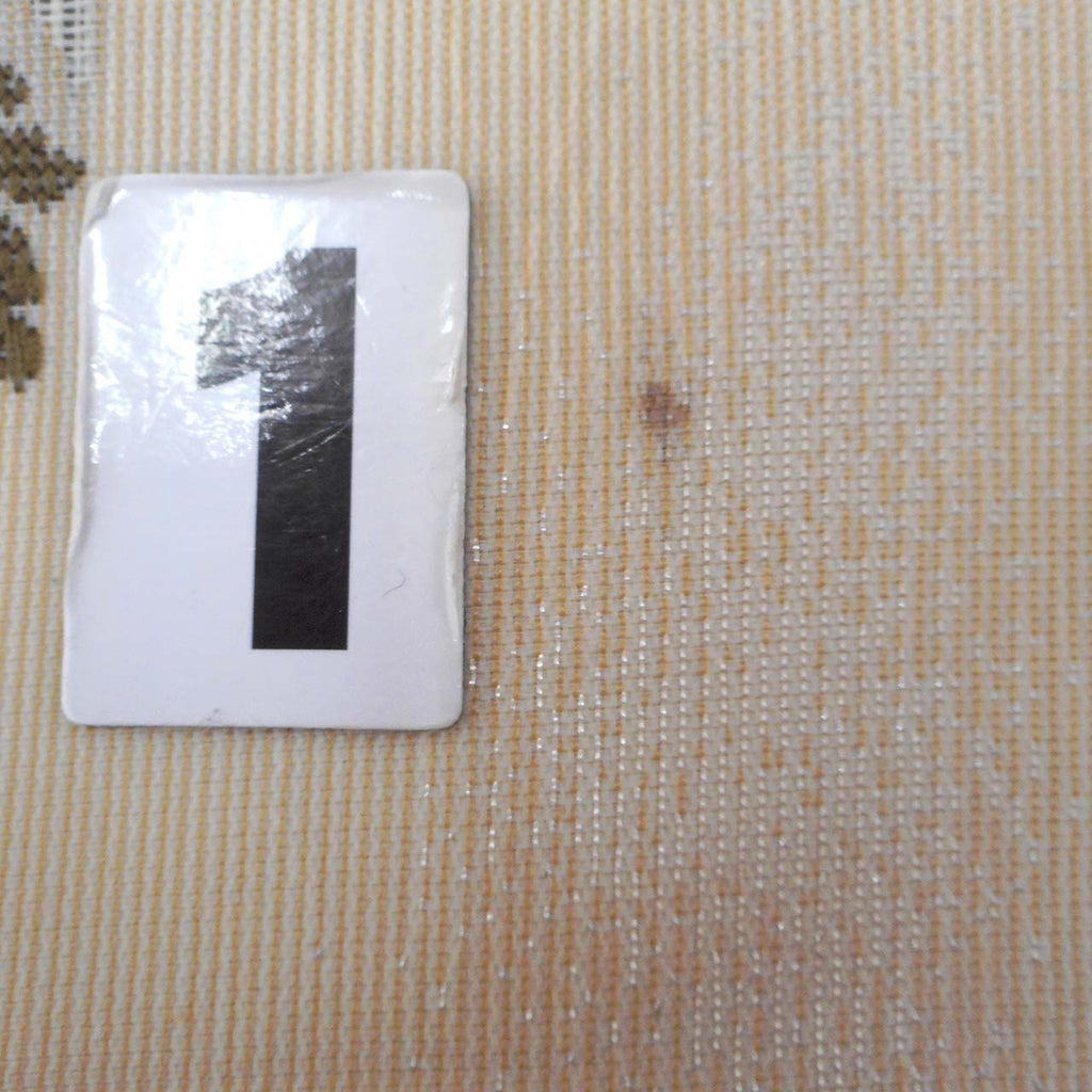 Vintage Japanese Obi | Summer Kyo-bukuro Obi | Beige Synthetic Ro | Grape Pattern | Silver Thread | Sustainable | uu1129b