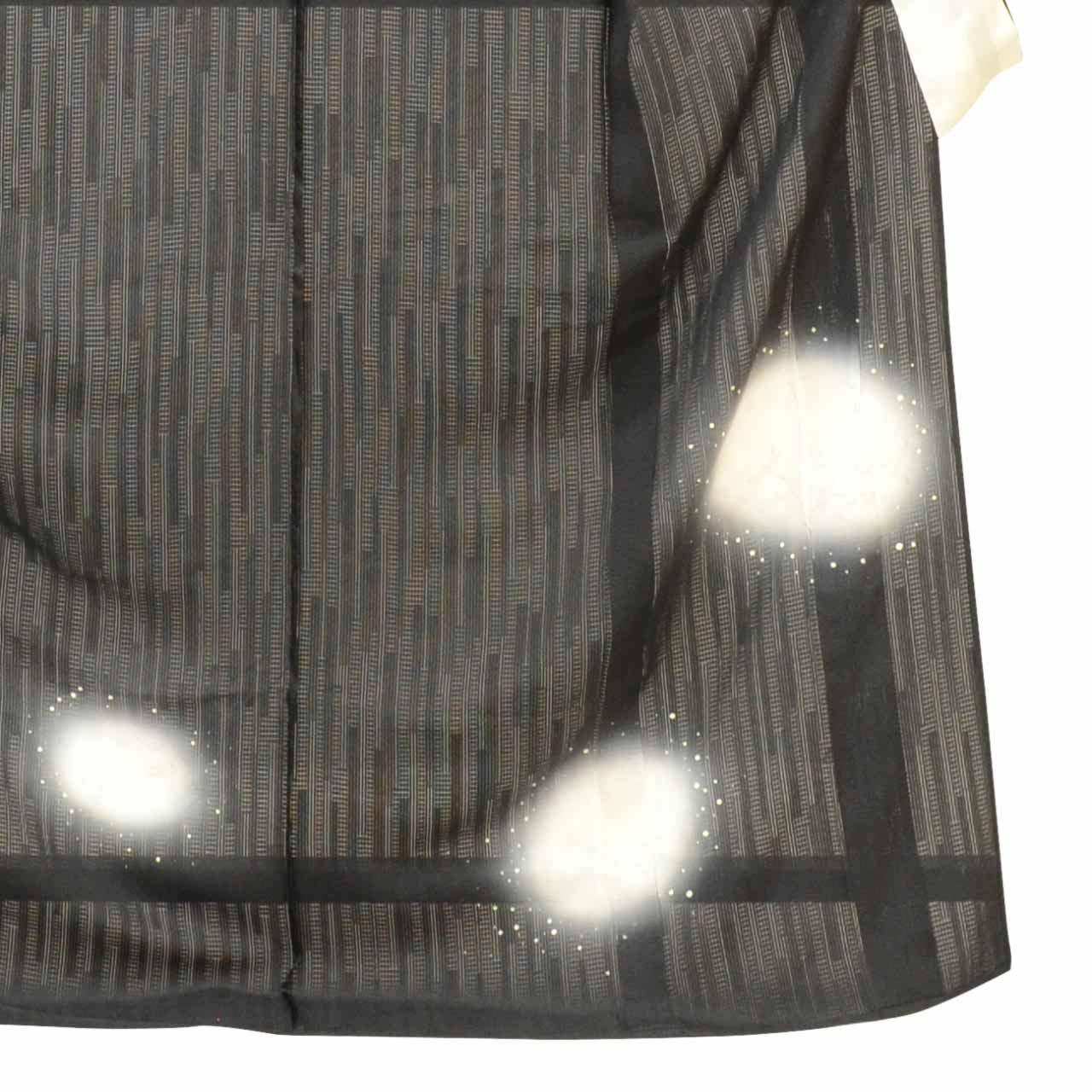 Vintage Japanese Kimono | Summer Tsukesage | Black Silk Ro | Dragonfly Pattern | Size L | Sustainable | uu1279b