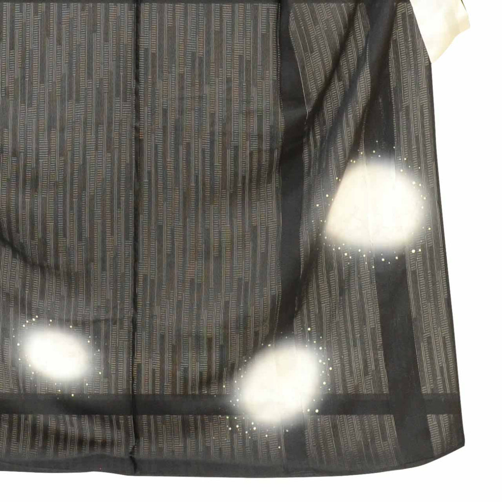 Vintage Japanese Kimono | Summer Tsukesage | Black Silk Ro | Dragonfly Pattern | Size L | Sustainable | uu1279b