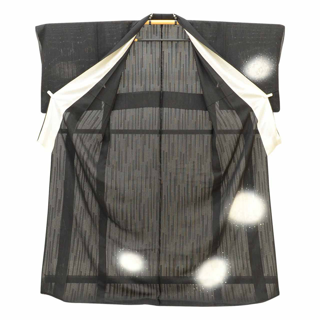 Vintage Japanese Kimono | Summer Tsukesage | Black Silk Ro | Dragonfly Pattern | Size L | Sustainable | uu1279b