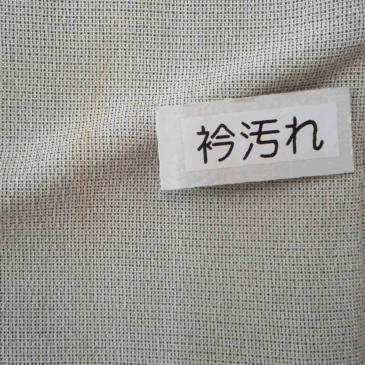 Vintage Japanese Kimono | Shiozawa Tsumugi | Gray Silk | Domyoji-dori | Tsukesage Pattern | Size M-L | Sustainable | Sustainable | uu1770b