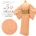 【中古】 リサイクル着物 かろやかセット 色無地 作り帯 正絹 美品 未使用品 裄69.5cm 着丈141cm LL 着用可能身長166cm～169cm 茶色系 植物文様 帯締め 帯揚げ 紋付 uu2345a120