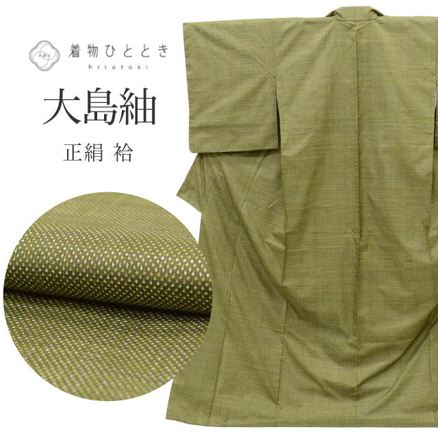 【中古】 大島紬 リサイクル着物 着物 正絹 Lサイズ ちょっとふくよかL 特品 身丈 163.5cm 裄丈 64.8cm 袷 仕立て上がり 一元式 ７マルキ 緑 絣 絹 SILK シルク リユース vv0005