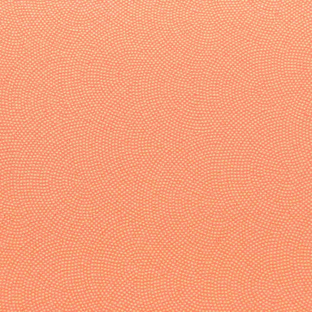 Vintage Japanese Kimono | Edo Komon | Silk | Shark Scale Samegomon | Fukure Weave | One Crest | Unused | Sustainable | vv0019
